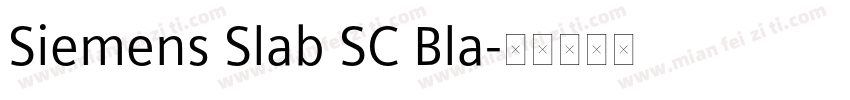Siemens Slab SC Bla字体转换